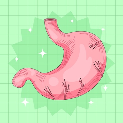 Promote stomach health